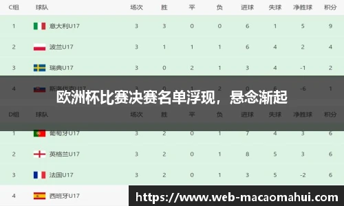 欧洲杯比赛决赛名单浮现，悬念渐起